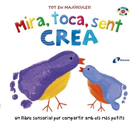 MIRA TOCA SENT CREA | 9788499062662 | BOULTWOOD, ELLIE/BORNOFF, EMILY/COCKAYNE, HANNAH/MUNDAY, NATALIE/HAMLEY, KYLIE | Llibreria L'Illa - Llibreria Online de Mollet - Comprar llibres online