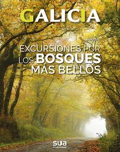 EXCURSIONES A LOS BOSQUES MAS BELLOS. GALICIA | 9788482166780 | RIAL, ANXO | Llibreria L'Illa - Llibreria Online de Mollet - Comprar llibres online