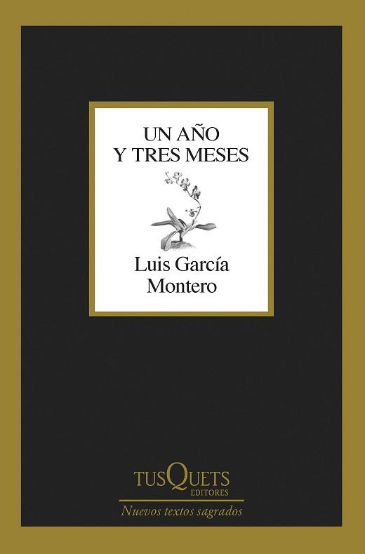 AÑO Y TRES MESES, UN | 9788411071475 | GARCÍA MONTERO, LUIS | Llibreria L'Illa - Llibreria Online de Mollet - Comprar llibres online
