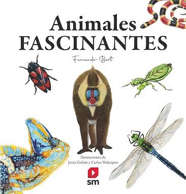 ANIMALES FASCINANTES | 9788413922188 | BORT MISOL, FERNANDO | Llibreria L'Illa - Llibreria Online de Mollet - Comprar llibres online
