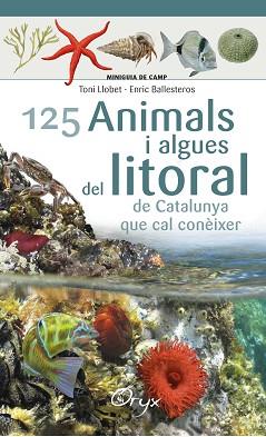 125 ANIMALS I ALGUES DEL LITORAL DE CATALUNYA | 9788490347416 | BALLESTEROS SAGARRA, ENRIC | Llibreria L'Illa - Llibreria Online de Mollet - Comprar llibres online
