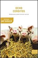 OCHO CERDITOS | 9788484328537 | JAY GOULD, STEPHEN | Llibreria L'Illa - Llibreria Online de Mollet - Comprar llibres online