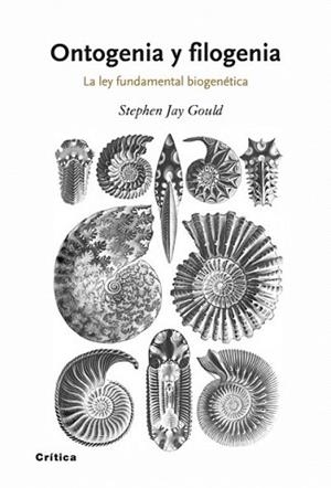 ONTOGENIA Y FILOGENIA | 9788498920628 | JAY GOULD, STEPHEN | Llibreria L'Illa - Llibreria Online de Mollet - Comprar llibres online