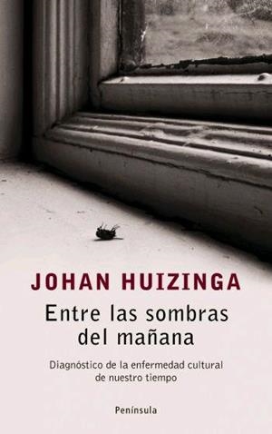 ENTRE LAS SOMBRAS | 9788483077917 | HUIZINGA, JOHN | Llibreria L'Illa - Llibreria Online de Mollet - Comprar llibres online