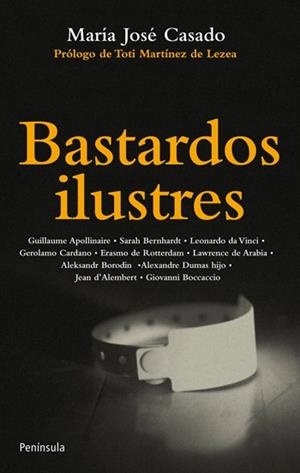 BASTARDOS ILUSTRES | 9788499421063 | CASADO RUIZ, MARIA JOSE | Llibreria L'Illa - Llibreria Online de Mollet - Comprar llibres online