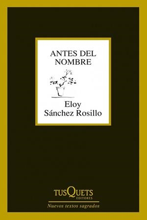 ANTES DEL NOMBRE | 9788483834619 | SÁNCHEZ ROSILLO, ELOY | Llibreria L'Illa - Llibreria Online de Mollet - Comprar llibres online