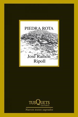 PIEDRA ROTA | 9788483834787 | RIPOLL, JOSÉ RAMÓN  | Llibreria L'Illa - Llibreria Online de Mollet - Comprar llibres online