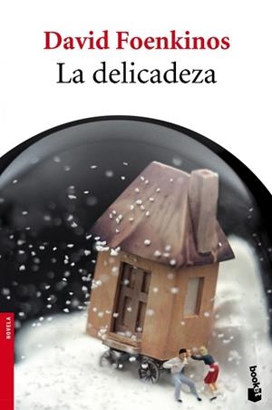 DELICADEZA, LA | 9788432215896 | FOENKINOS, DAVID
