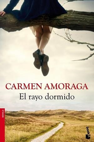 RAYO DORMIDO, EL | 9788423346714 | AMORAGA, CARMEN | Llibreria L'Illa - Llibreria Online de Mollet - Comprar llibres online