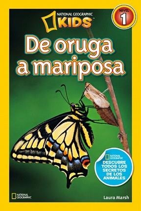 DE ORUGA A MARIPOSA | 9788482985619 | MARSH, LAURA