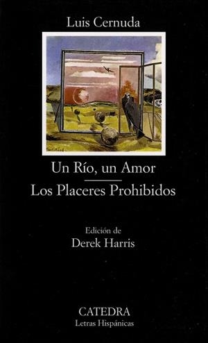 RIO UN AMOR/LOS PLACERES PROHIBIDOS | 9788437617503 | CERNUDA, LUIS
