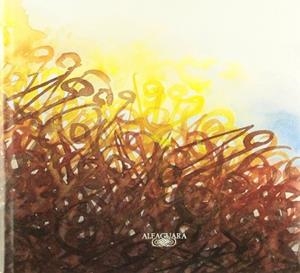 MI SIGLO (IL.LUSTRAT) | 9788420441627 | GRASS, GUNTER