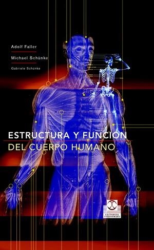 ESTRUCTURA Y FUNCION DEL CUERPO HUMANO | 9788480198677 | FALLER, ADOLF (1913-1988) | Llibreria L'Illa - Llibreria Online de Mollet - Comprar llibres online