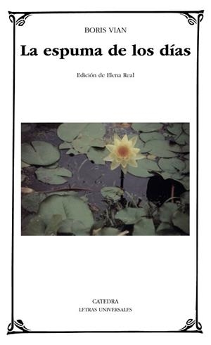 ESPUMA DE LOS DIAS, LA | 9788437617961 | VIAN, BORIS | Llibreria L'Illa - Llibreria Online de Mollet - Comprar llibres online