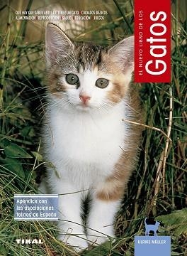 GATOS | 9788430592661 | MULLER, ULRIKE | Llibreria L'Illa - Llibreria Online de Mollet - Comprar llibres online