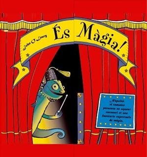 ES MAGIA (CAT) | 9788498252163 | O'LEARY, JOHN | Llibreria L'Illa - Llibreria Online de Mollet - Comprar llibres online