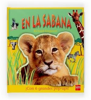 EN LA SABANA.CON 6 GRANDES POP-UPS! | 9788467519679 | FERGUSON, RICHARD | Llibreria L'Illa - Llibreria Online de Mollet - Comprar llibres online