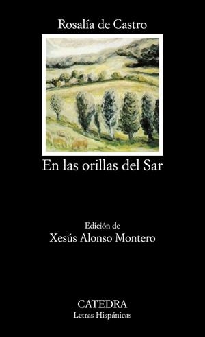 EN LAS ORILLAS DEL SAR | 9788437605661 | CASTRO, ROSALIA DE | Llibreria L'Illa - Llibreria Online de Mollet - Comprar llibres online