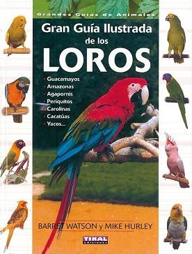 GRAN GUIA ILUSTRADA DE LOS LOROS | 9788430536900 | WATSON, BARRET / HURLEY, MIKE | Llibreria L'Illa - Llibreria Online de Mollet - Comprar llibres online