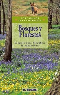 BOSQUES Y FLORESTAS | 9788489840287