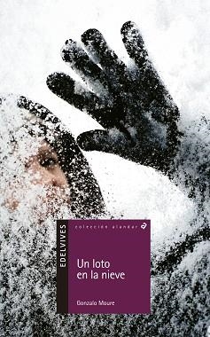 LOTO EN LA NIEVE, UN | 9788426352170 | MOURE, GONZALO | Llibreria L'Illa - Llibreria Online de Mollet - Comprar llibres online