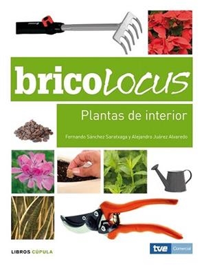 PLANTAS DE INTERIOR | 9788448047672 | FERNANDO SÁNCHEZ / ALEJANDRO JUÁREZ