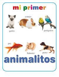 MI PRIMER LIBRO DE ANIMALITOS | 9788427293083 | VV.AA | Llibreria L'Illa - Llibreria Online de Mollet - Comprar llibres online