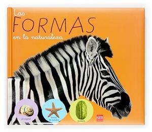 FORMAS EN LA NATURALEZA, LAS | 9788434812314 | A.A.V.V.