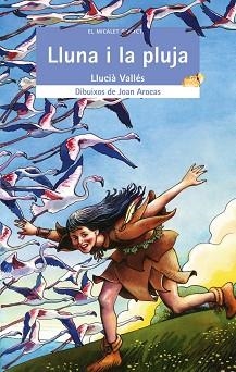LLUNA I LA PLUJA, LA | 9788476609644 | VALLÉS, LLUCIÀ | Llibreria L'Illa - Llibreria Online de Mollet - Comprar llibres online