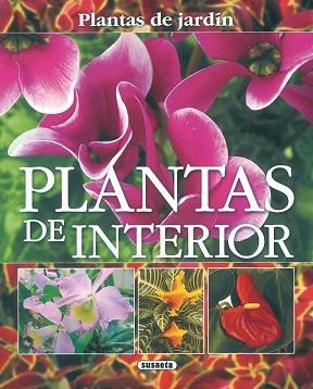 PLANTAS DE INTERIOR | 9788430556892 | ALONSO DE LA PAZ, F.J. | Llibreria L'Illa - Llibreria Online de Mollet - Comprar llibres online