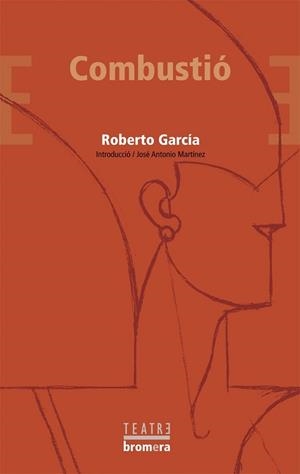 COMBUSTIO | 9788498241570 | GARCÍA, TOBERTO | Llibreria L'Illa - Llibreria Online de Mollet - Comprar llibres online