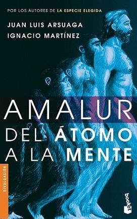 AMALUR (NF) | 9788484605393 | JUAN LUIS ARSUAGA / IGNACIO MARTÍNEZ | Llibreria L'Illa - Llibreria Online de Mollet - Comprar llibres online