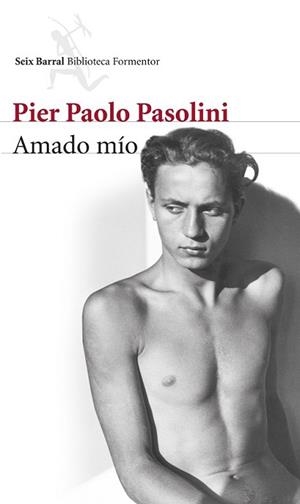 AMADO MÍO | 9788432222870 | PAOLO PASOLINI, PIER | Llibreria L'Illa - Llibreria Online de Mollet - Comprar llibres online