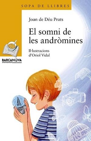 SOMNI DE LES ANDRÒMINES, EL | 9788448933999 | PRATS, JOAN DE DÉU | Llibreria L'Illa - Llibreria Online de Mollet - Comprar llibres online