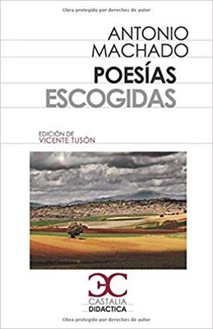 POESIAS ESCOGIDAS | 9788497406932 | MACHADO, ANTONIO | Llibreria L'Illa - Llibreria Online de Mollet - Comprar llibres online