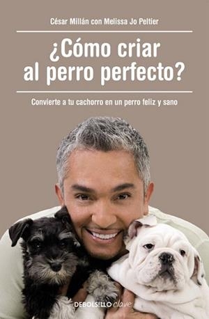 CÓMO CRIAR AL PERRO PERFECTO? | 9788490625477 | MILLÁN, CÉSAR | Llibreria L'Illa - Llibreria Online de Mollet - Comprar llibres online