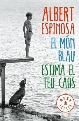 MÓN BLAU ESTIMA EL TEU CAOS, EL | 9788466329828 | ESPINOSA, ALBERT