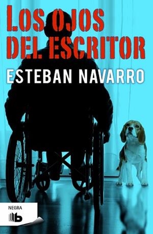 OJOS DEL ESCRITOR, LOS | 9788490703083 | NAVARRO, ESTEBAN | Llibreria L'Illa - Llibreria Online de Mollet - Comprar llibres online