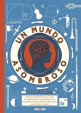 MUNDO ASOMBROSO, UN | 9788416690244 | BROWN, JAMES/PLATT, RICHARD