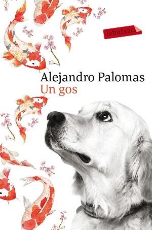 GOS, UN | 9788416600625 | PALOMAS, ALEJANDRO | Llibreria L'Illa - Llibreria Online de Mollet - Comprar llibres online