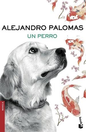 PERRO, UN | 9788423351862 | PALOMAS, ALEJANDRO | Llibreria L'Illa - Llibreria Online de Mollet - Comprar llibres online