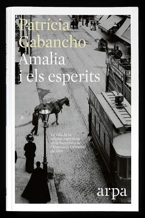 AMALIA I ELS ESPERITS | 9788416601318 | GABANCHO, PATRICIA | Llibreria L'Illa - Llibreria Online de Mollet - Comprar llibres online