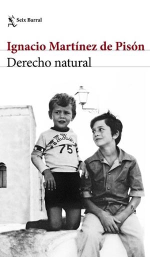 DERECHO NATURAL | 9788432232220 | MARTÍNEZ DE PISÓN, IGNACIO | Llibreria L'Illa - Llibreria Online de Mollet - Comprar llibres online