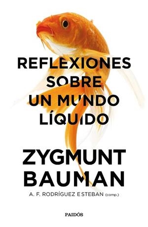 REFLEXIONES SOBRE UN MUNDO LÍQUIDO | 9788449333774 | BAUMAN, ZYGMUNT/RODRÍGUEZ ESTEBAN, ANTONIO FRANCISCO | Llibreria L'Illa - Llibreria Online de Mollet - Comprar llibres online