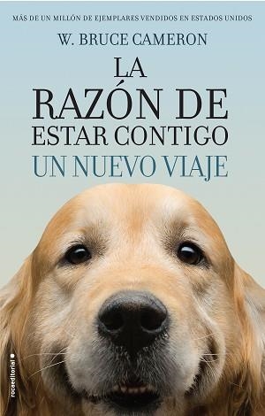 RAZÓN DE ESTAR CONTIGO, LA | 9788416867912 | CAMERON, W. BRUCE
