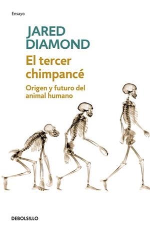 TERCER CHIMPANCE, EL | 9788483467497 | DIAMOND, JARED | Llibreria L'Illa - Llibreria Online de Mollet - Comprar llibres online