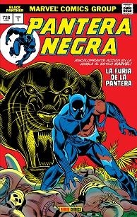 PANTERA NEGRA 01 | 9788491672852 | KIRBY, JACK/ BUCKLER, RICH/ HANNIGAN, ED/ MCGREGOR, DON