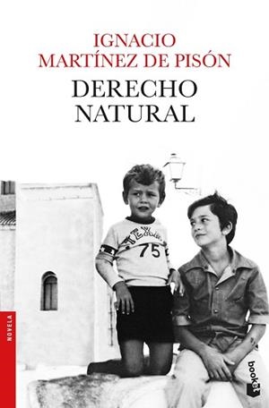 DERECHO NATURAL | 9788432234279 | MARTÍNEZ DE PISÓN, IGNACIO | Llibreria L'Illa - Llibreria Online de Mollet - Comprar llibres online