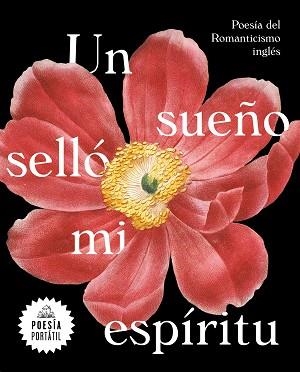 SUEÑO SELLÓ MI ESPÍRITU, UN | 9788439735328 | VARIOS AUTORES, | Llibreria L'Illa - Llibreria Online de Mollet - Comprar llibres online