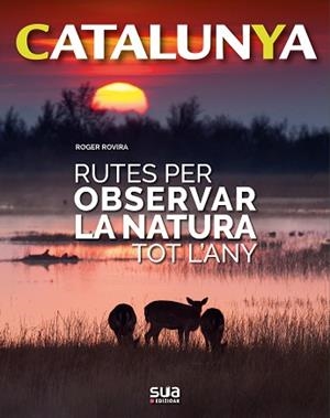 RUTES PER OBSERVAR LA NATURA TOT L'ANY -SUA | 9788482166773 | ROVIRA, RIGER | Llibreria L'Illa - Llibreria Online de Mollet - Comprar llibres online